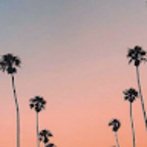 Meet your Posher, Halle